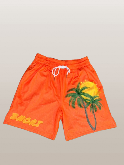 Paradise Mesh Shorts